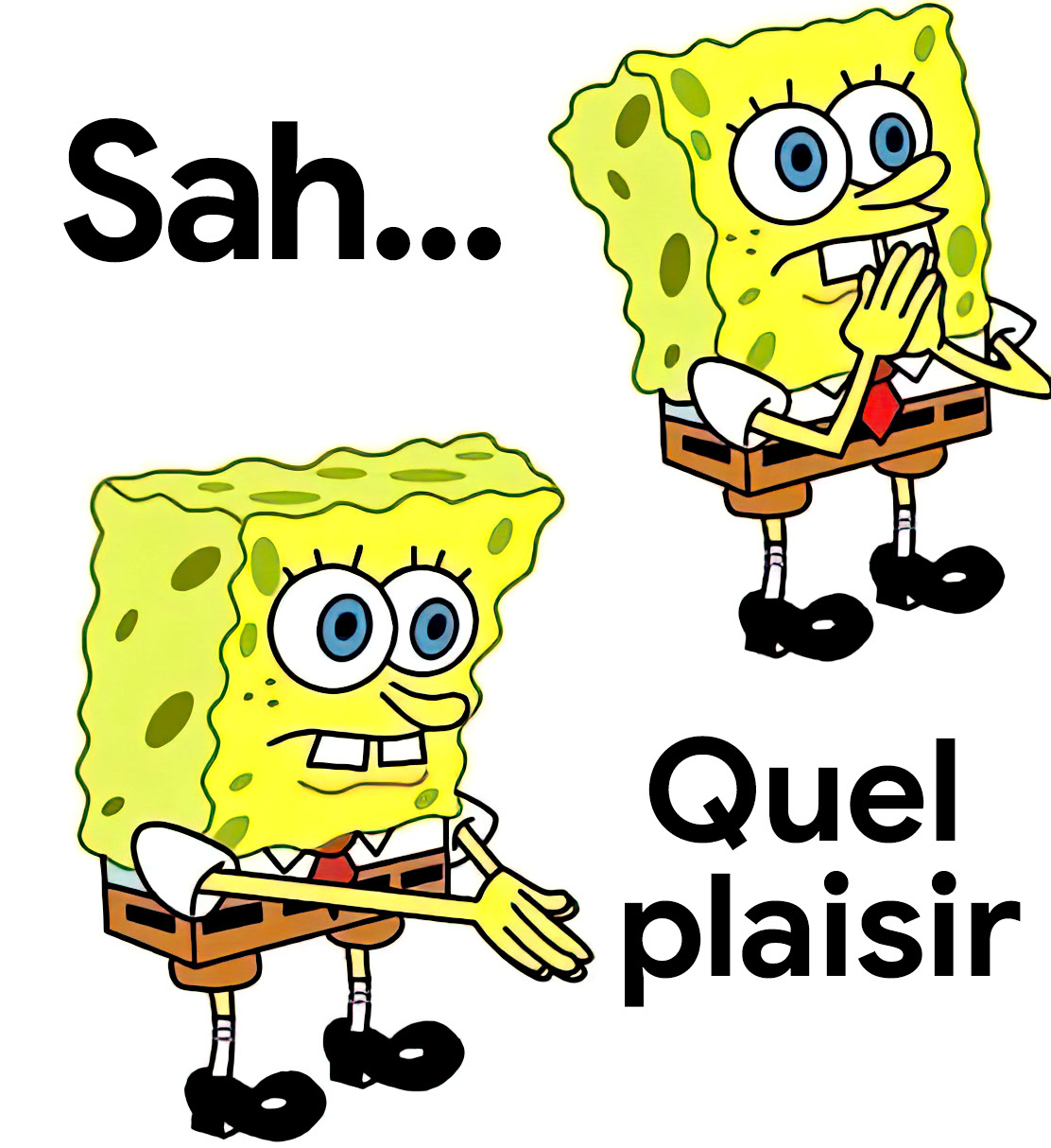 Sah quel plaisir 1
