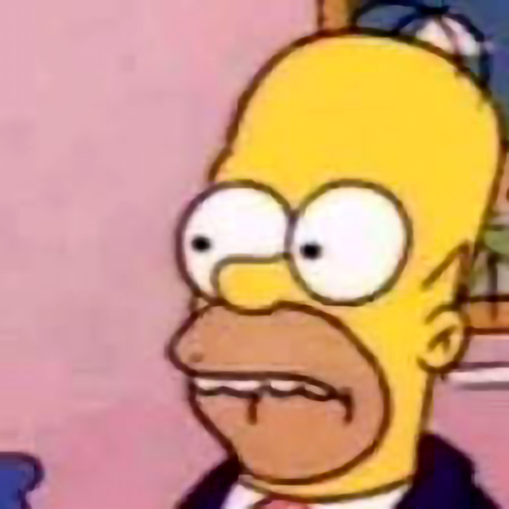 Homer 1