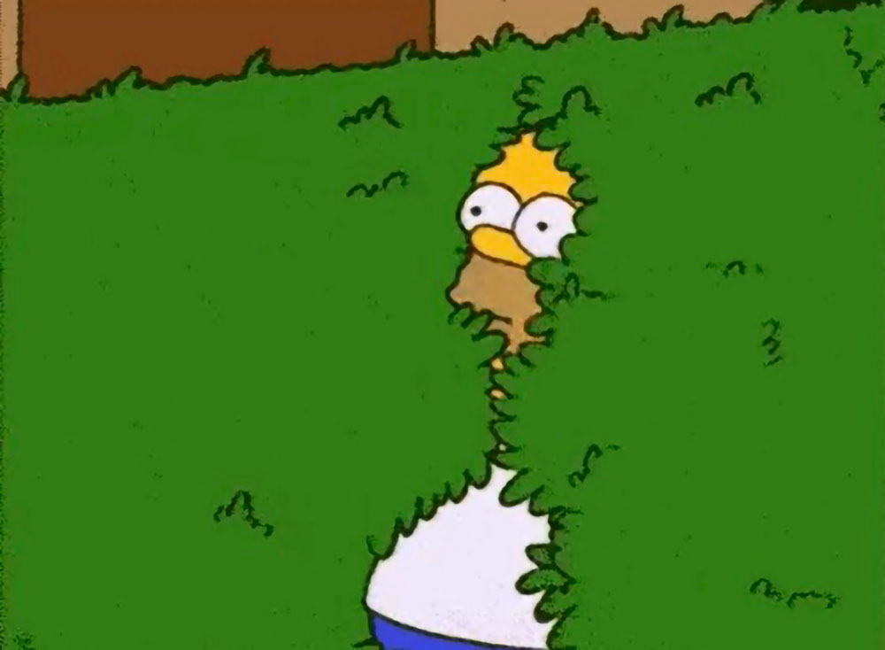 Homer 3