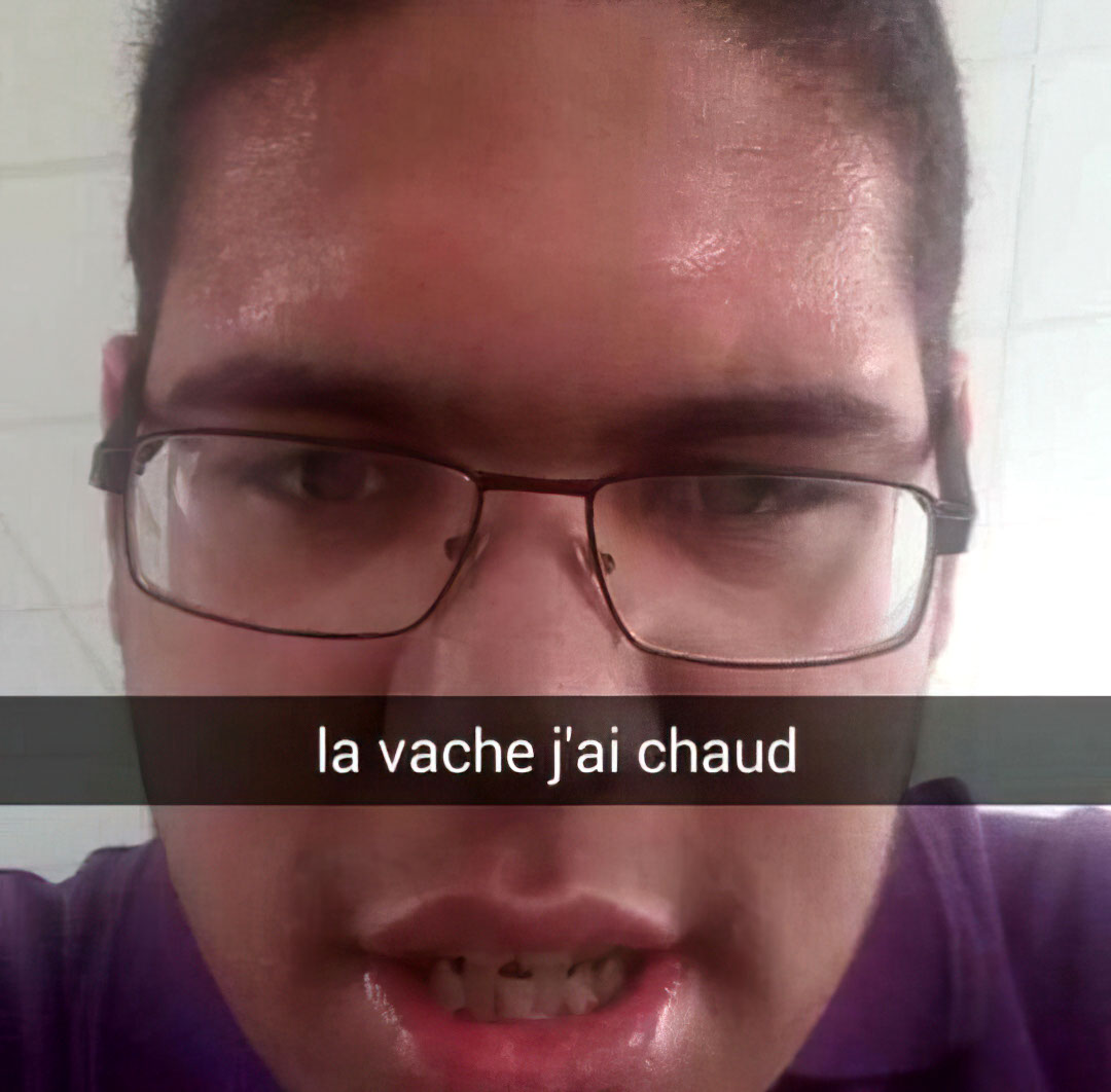 La vache j'ai chaud