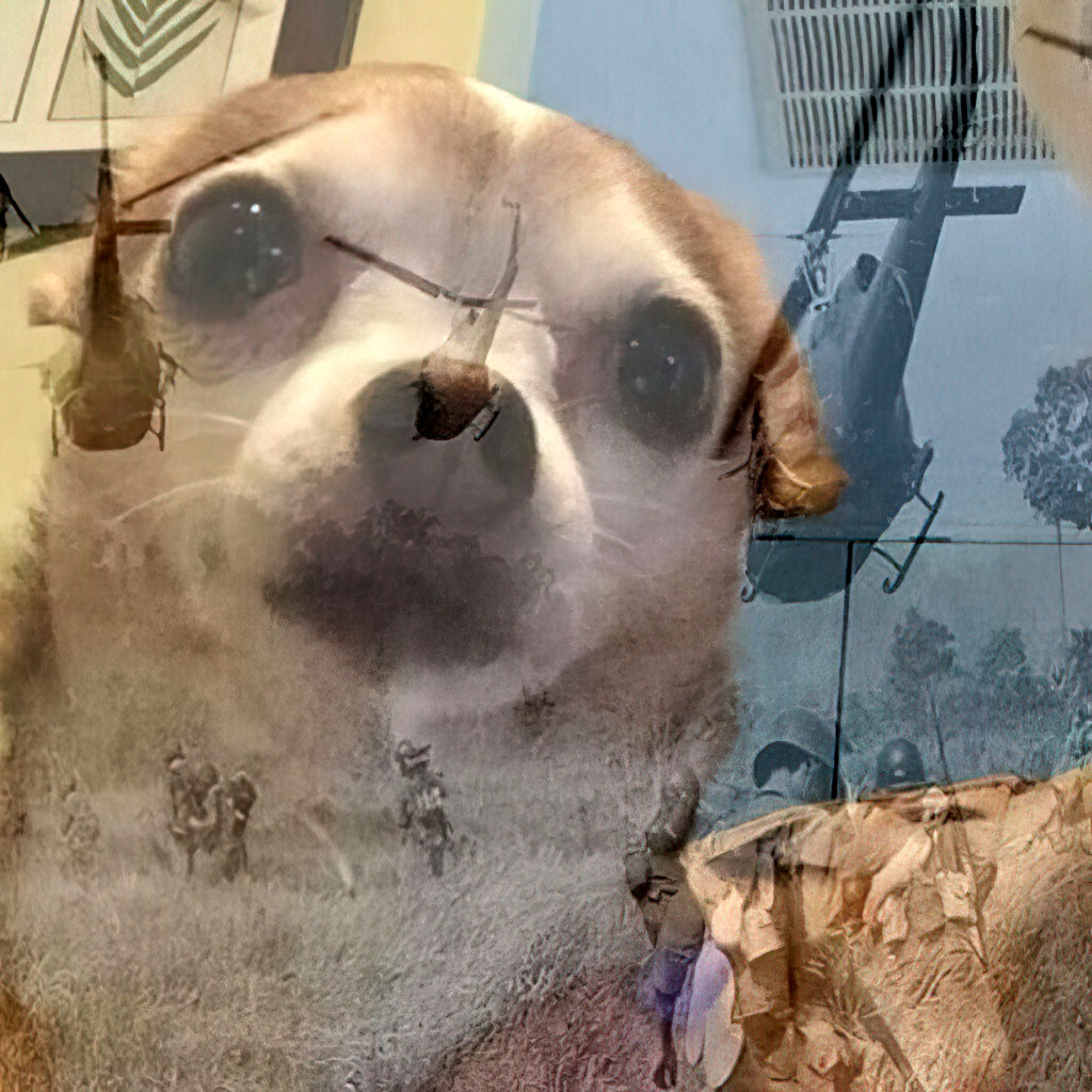 Vietnam dog