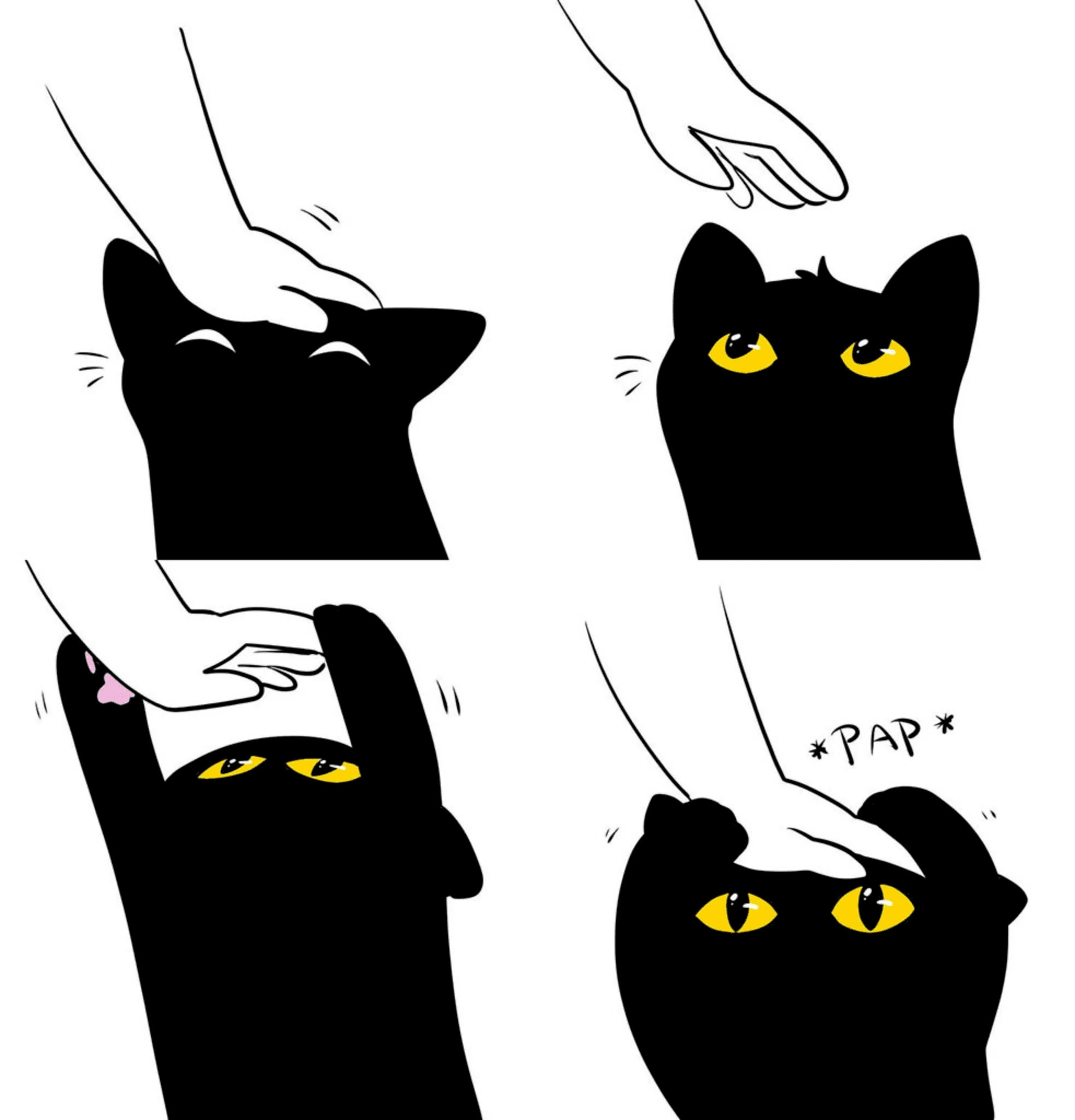 Cat pap