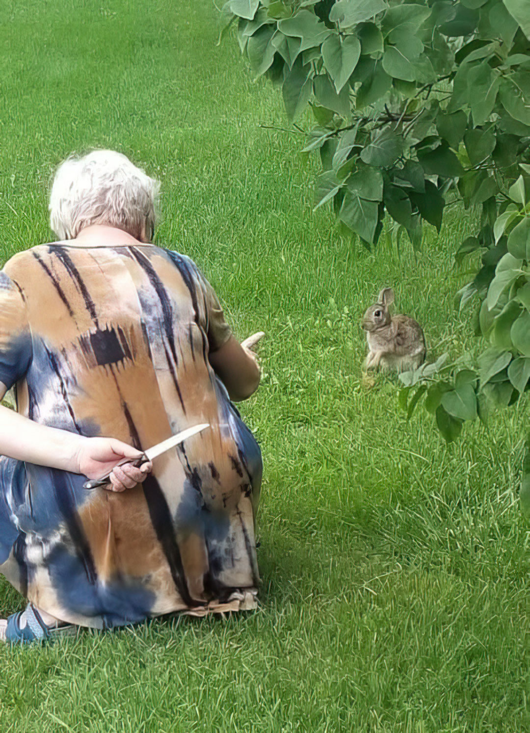 Grandma hiding knife from rabbit
