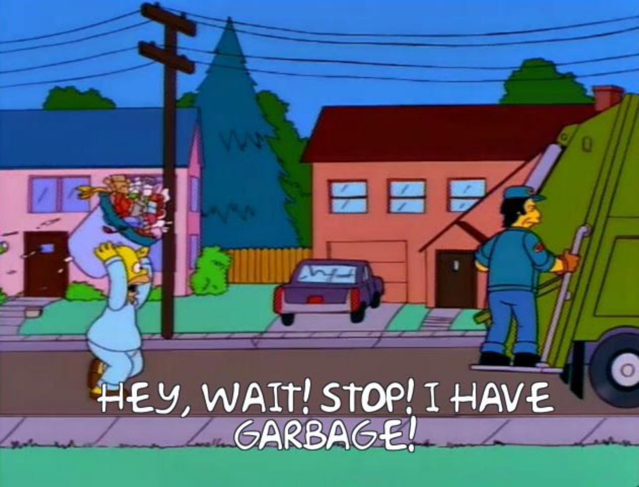 Homer garbage