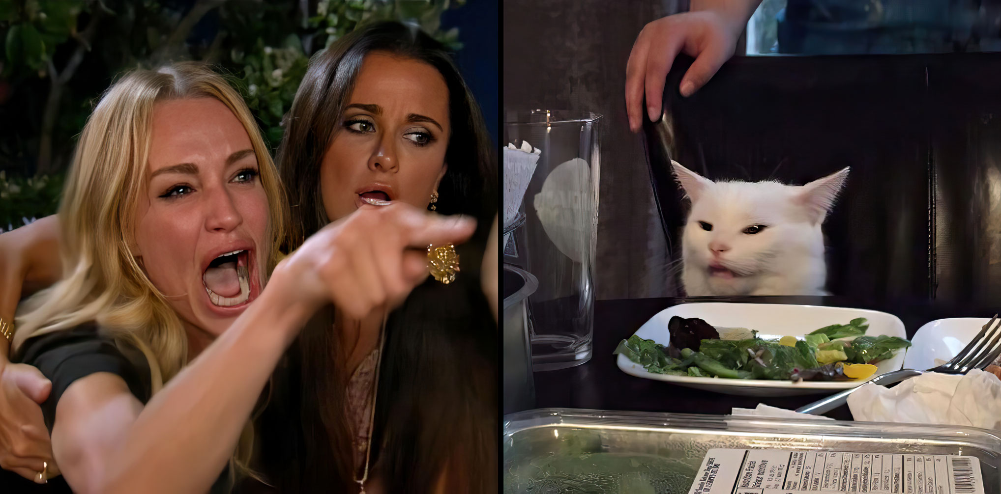 Pointing girl cat