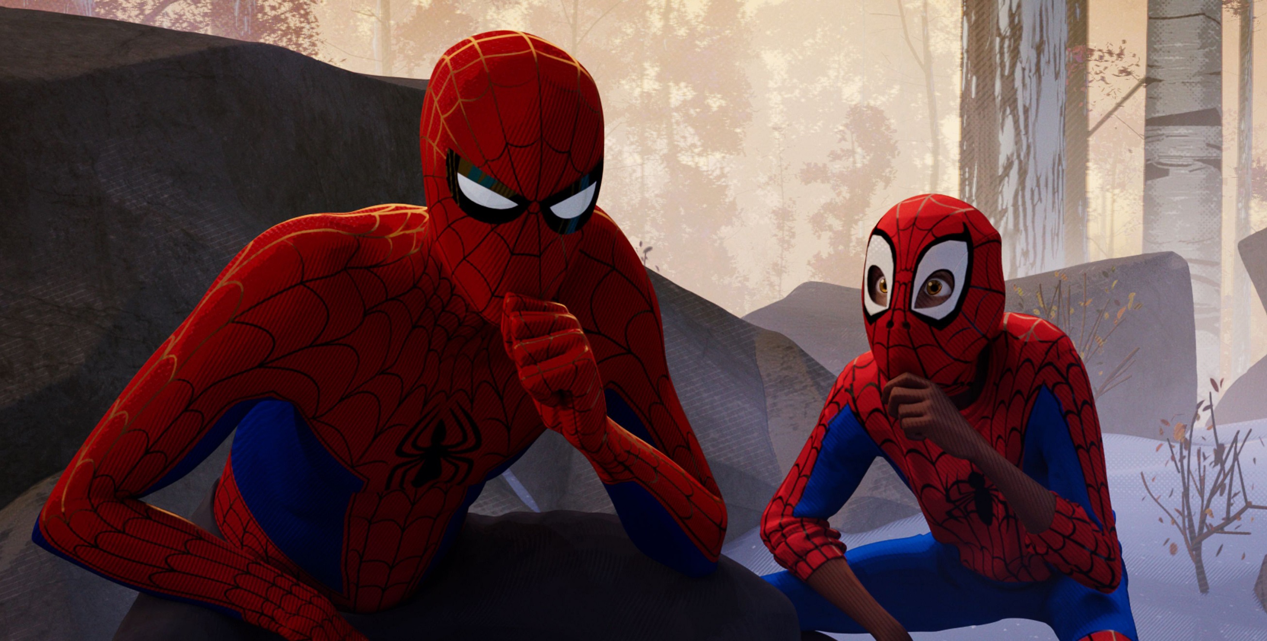 Spiderman 4