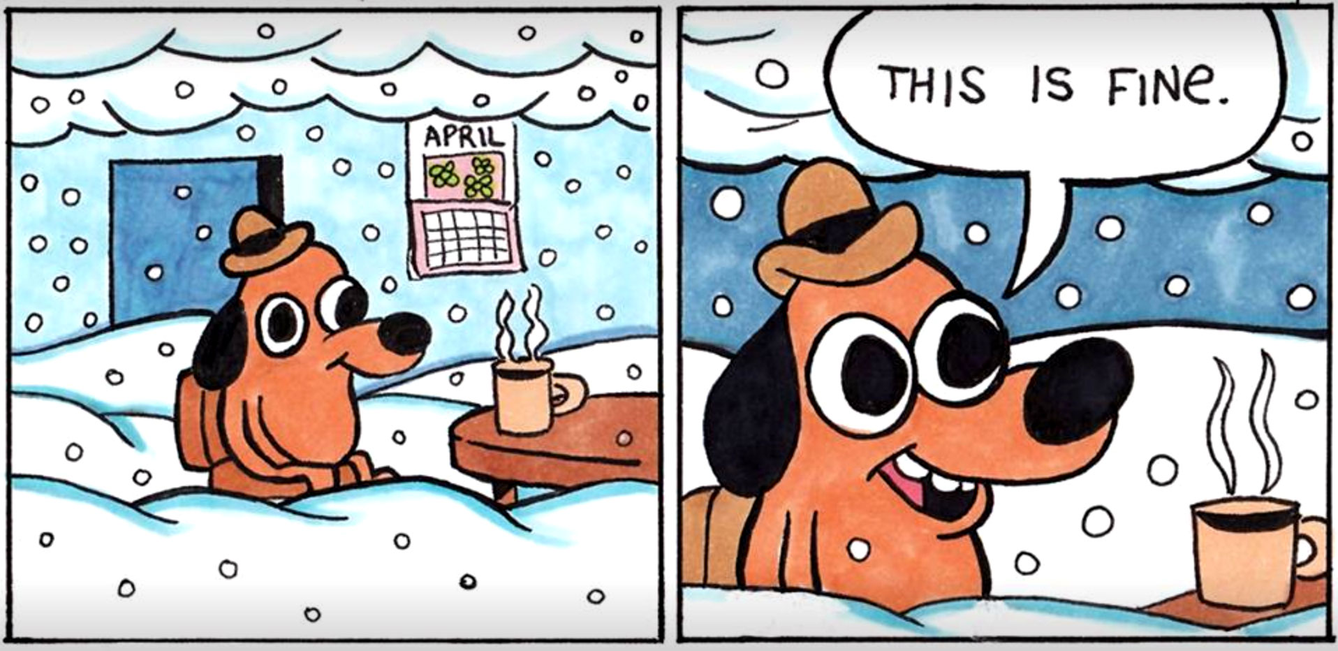 This is fine 3