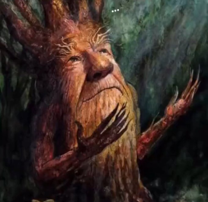 arbre visage prière dieux god bless