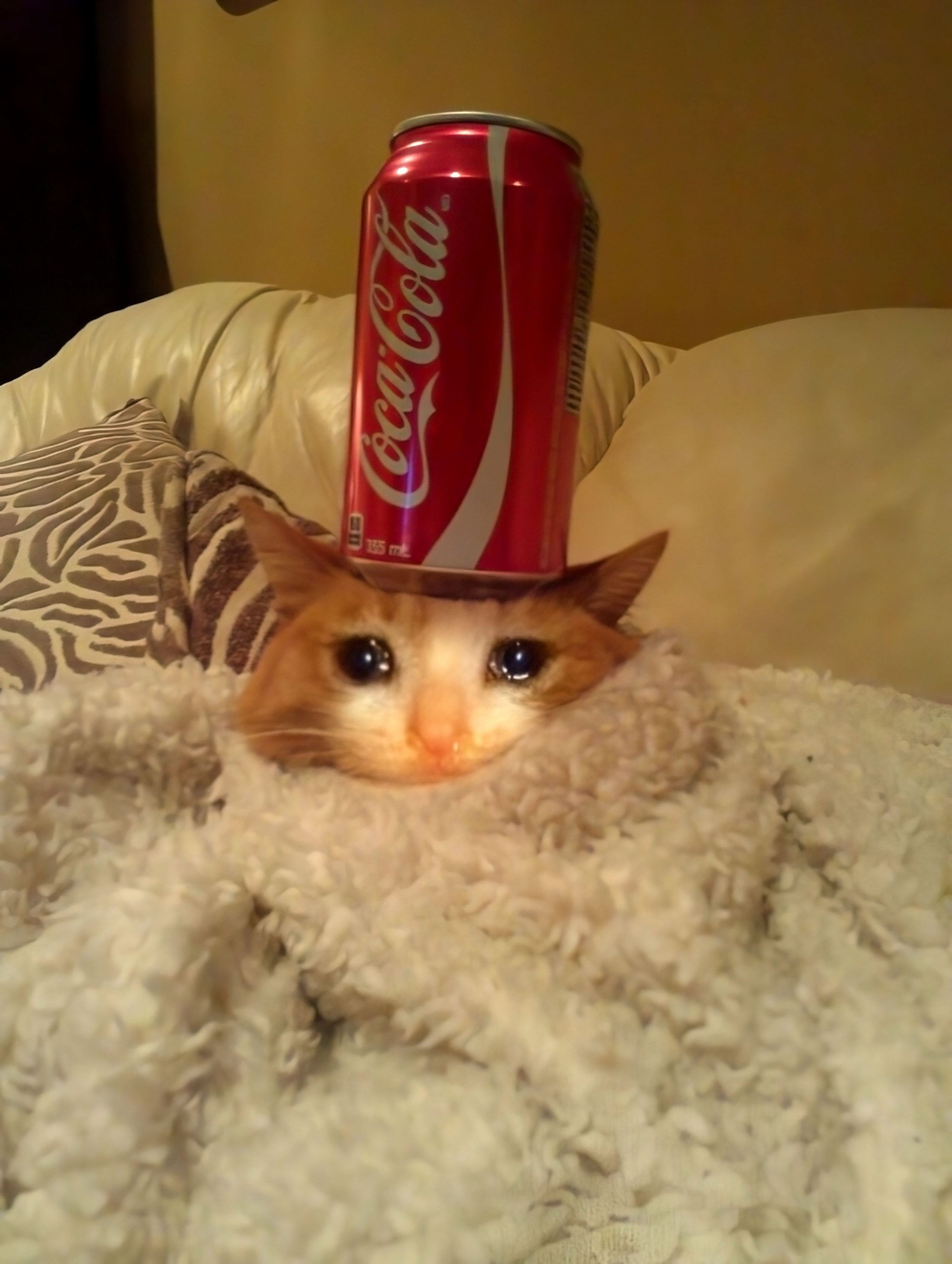 Chat 2
