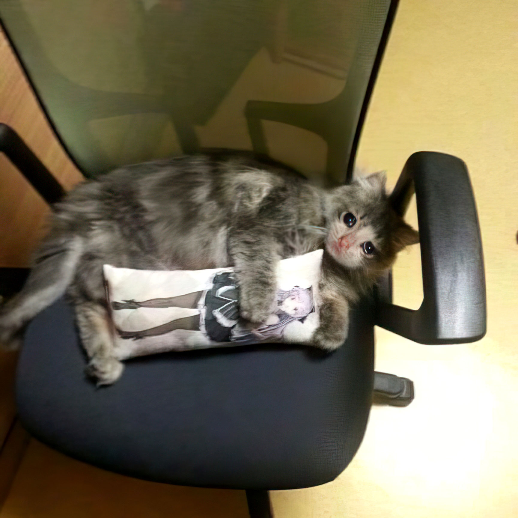 Chat 3