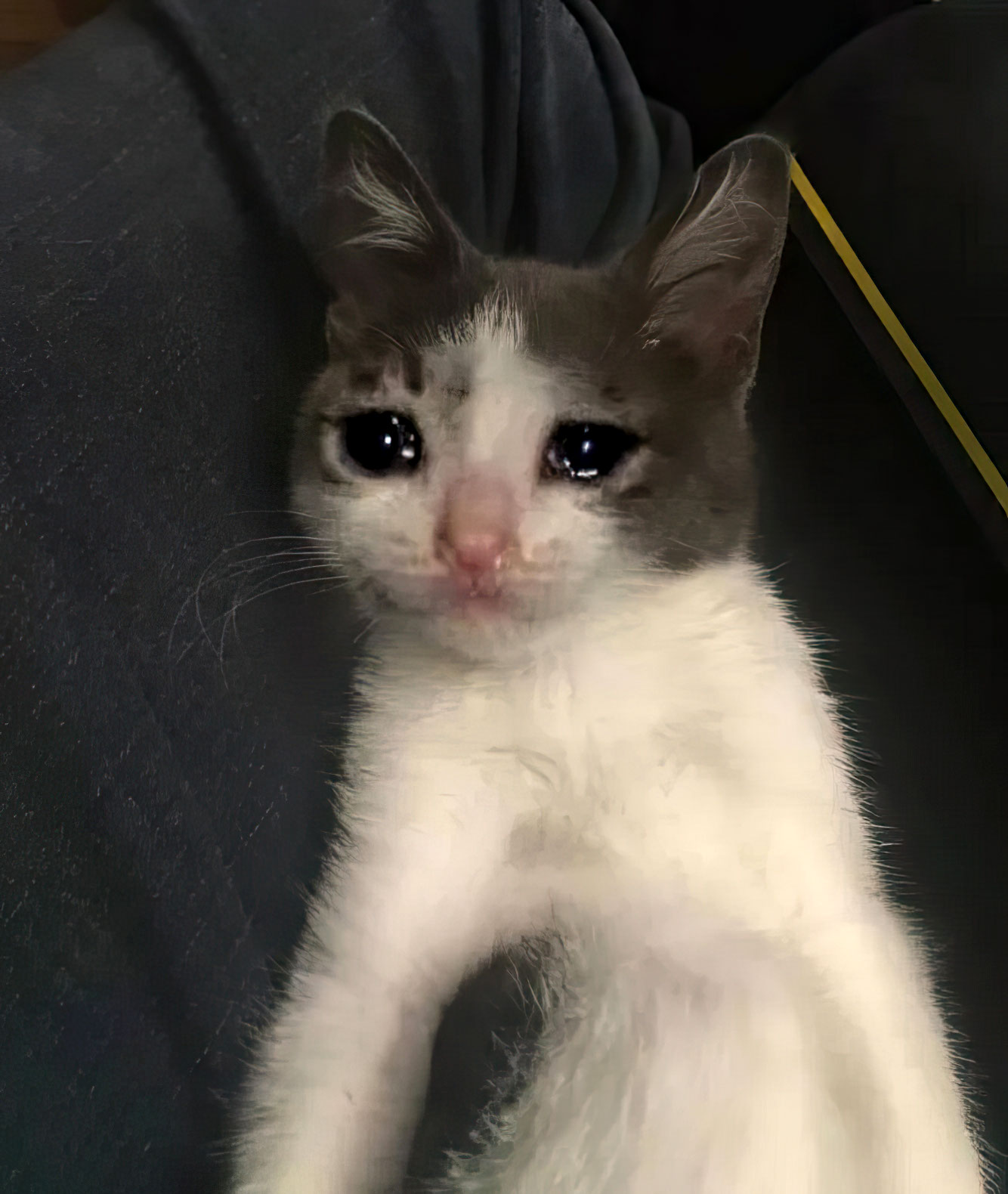 Chat 10