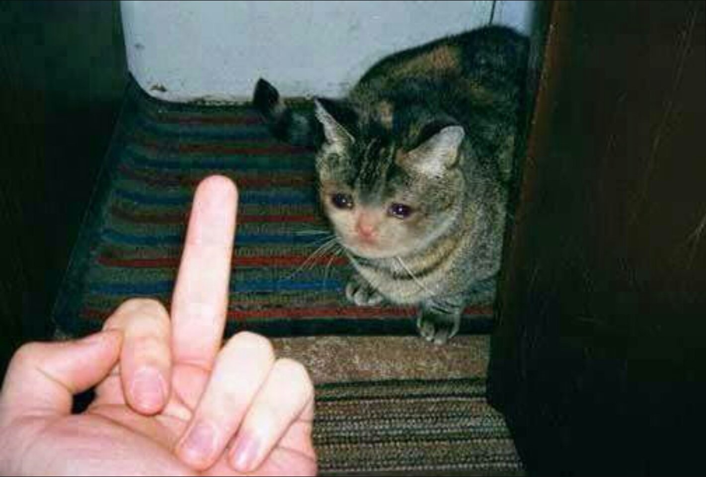 Chat 15