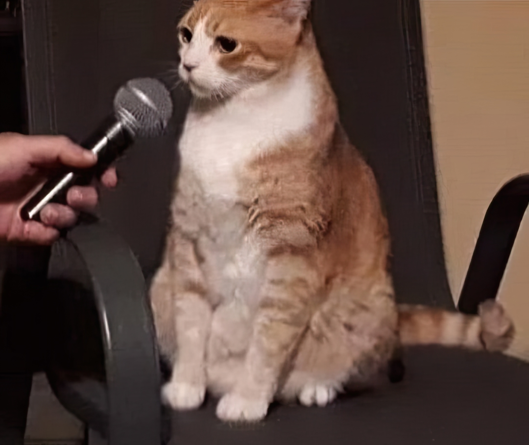 Chat 21