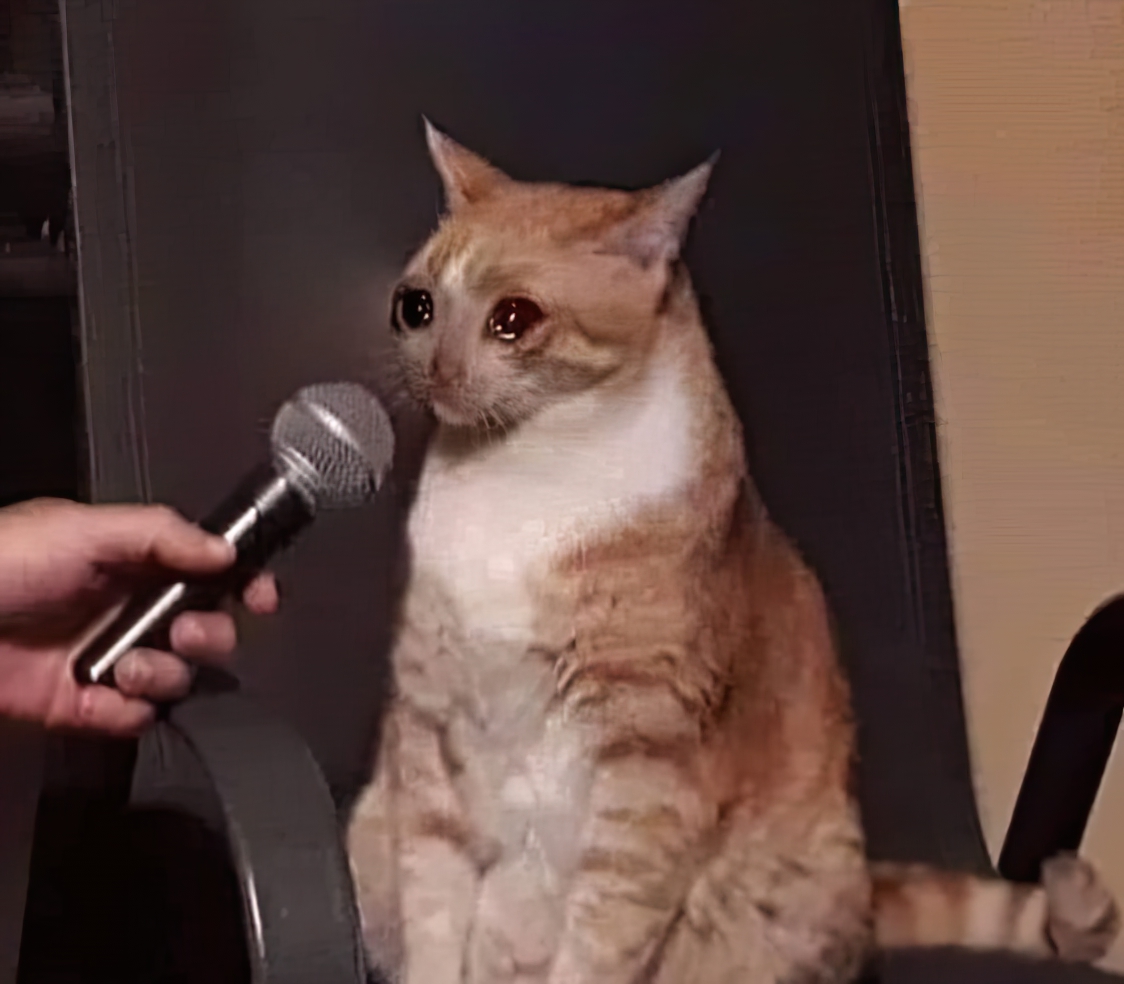 Chat 22