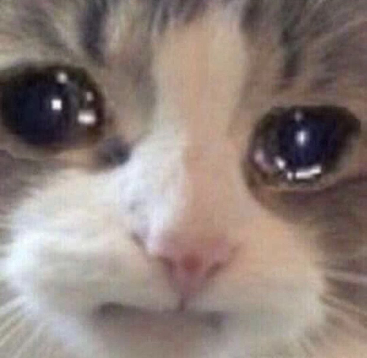Chat 28