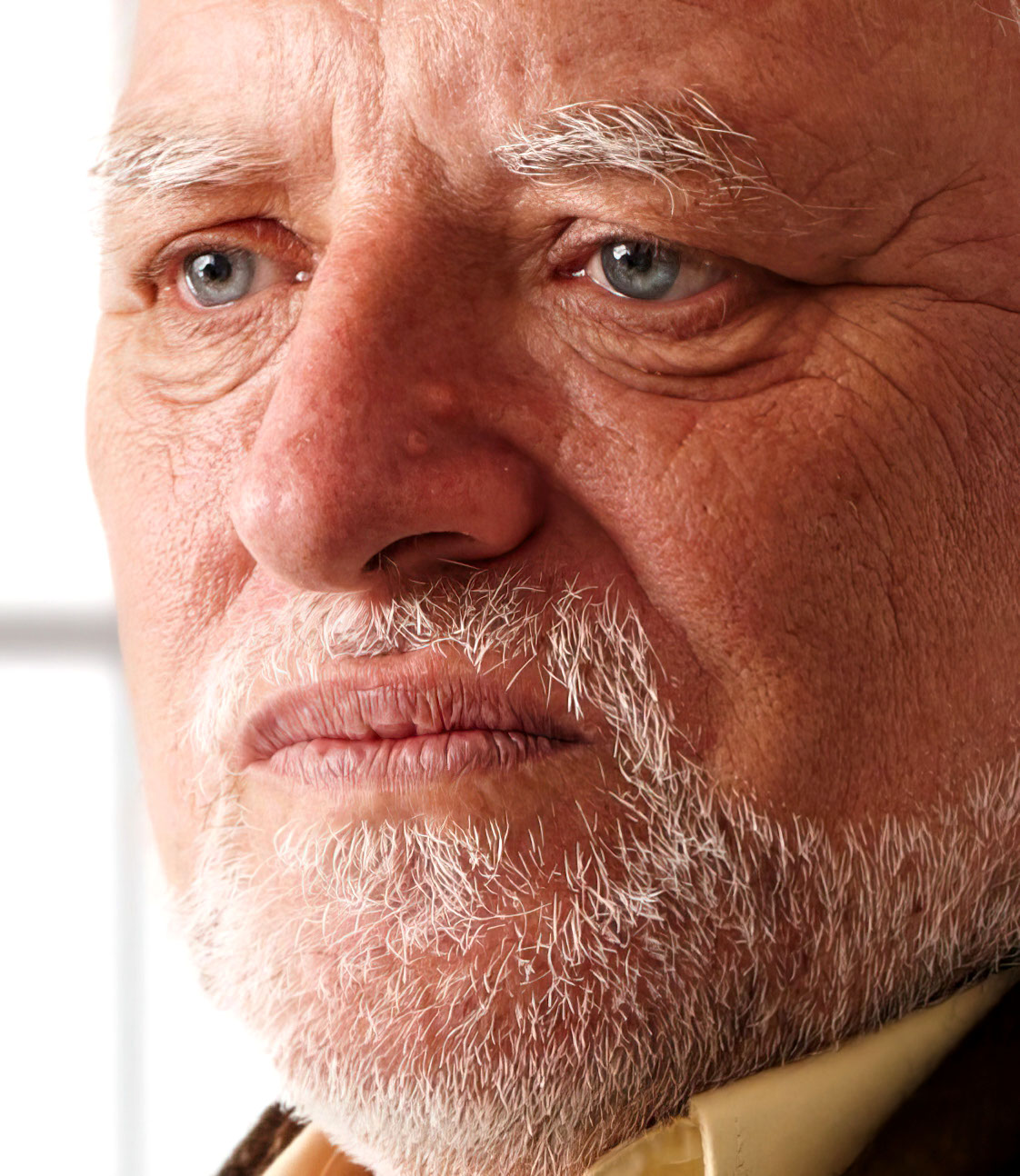 Harold 1