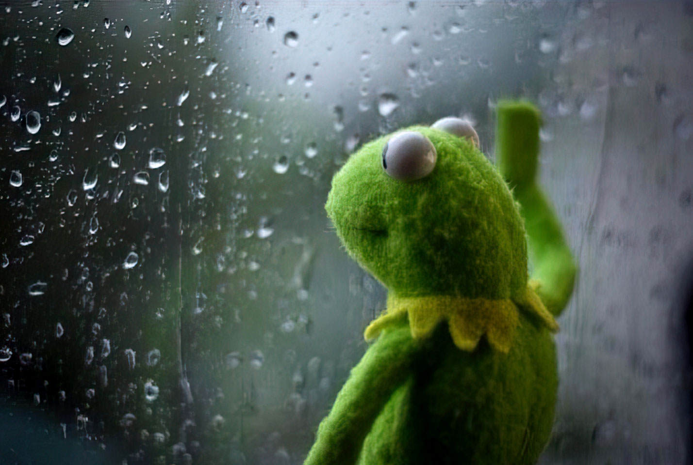Kermit 1