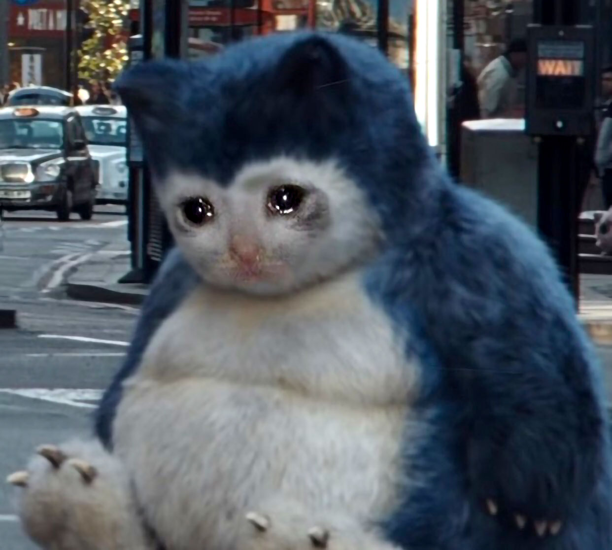 Pokémon 1