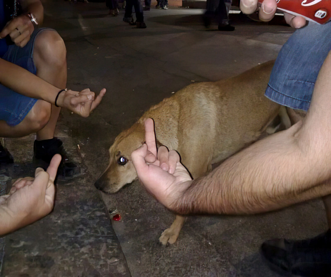 Sad dog