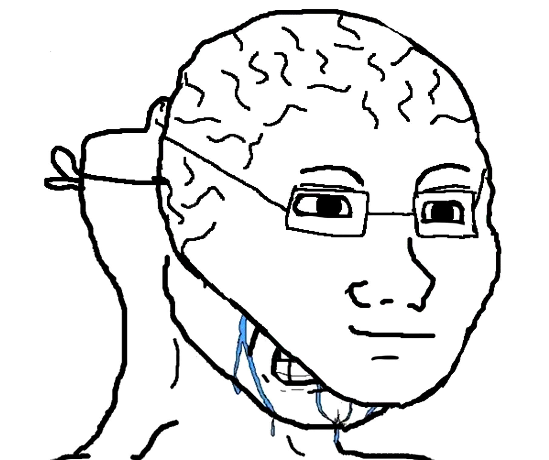 Wojak 13
