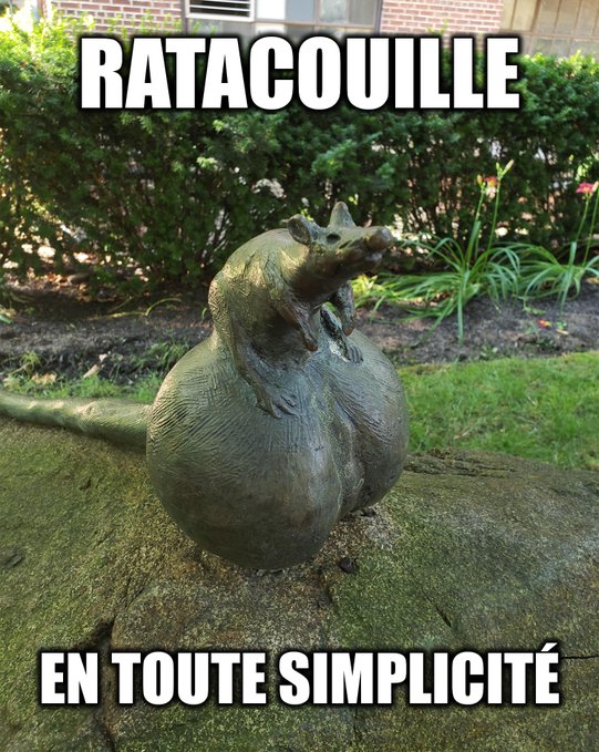 ratacouille en toute simplicité