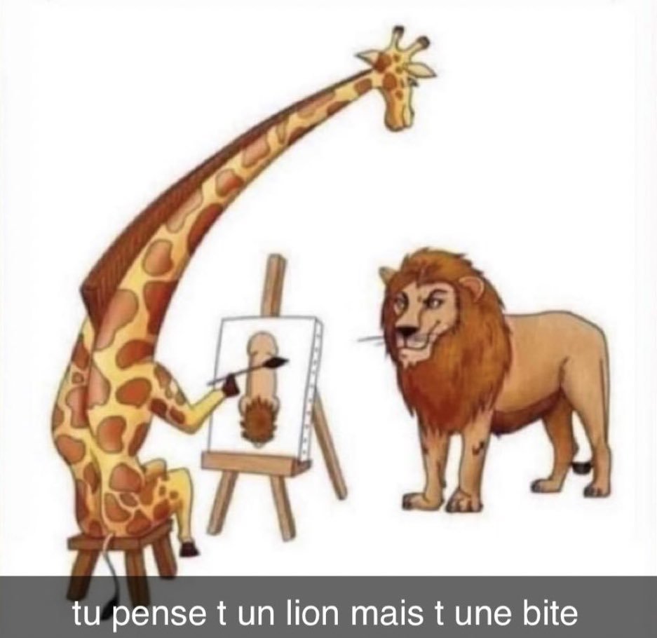tu pense t un lion mais t une bite