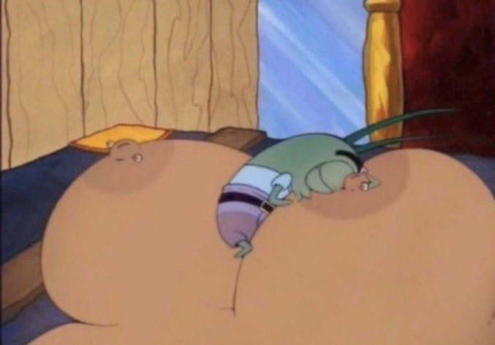 insecte qui dors sur une paire de seins
