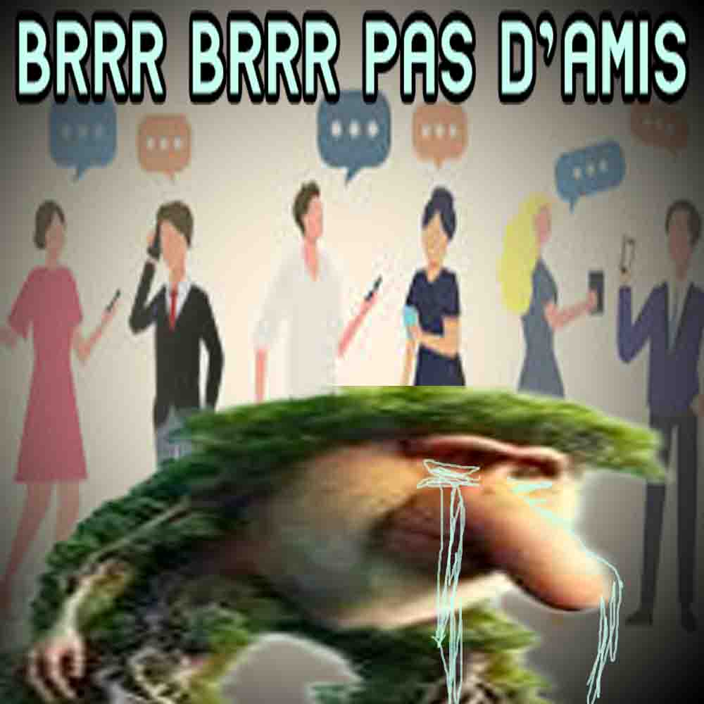 brrr brrr pas d'amis