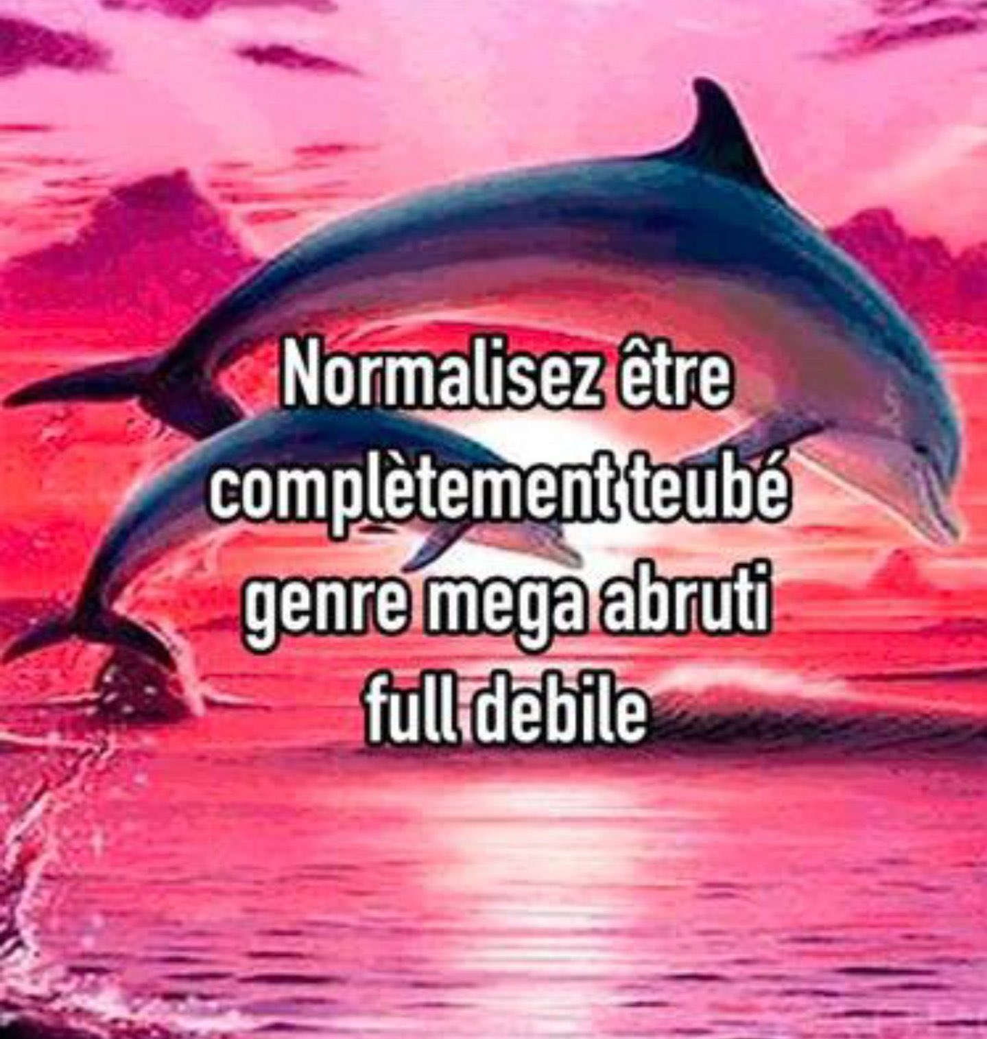 Normalisez être complètement teubé genre mega abruti full debile