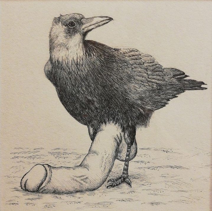 corbeau avec un giga paff zizi pénis zgeg