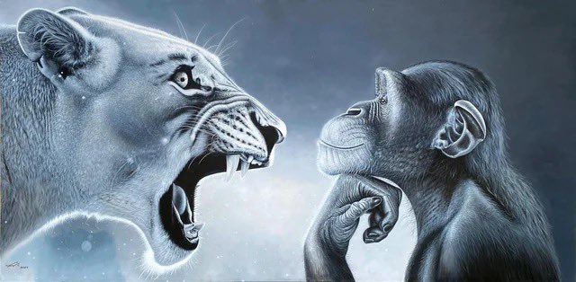 Lionne enragée vs. Chimpanzé contemplatif  Quand la nature appelle et que l'esprit répond