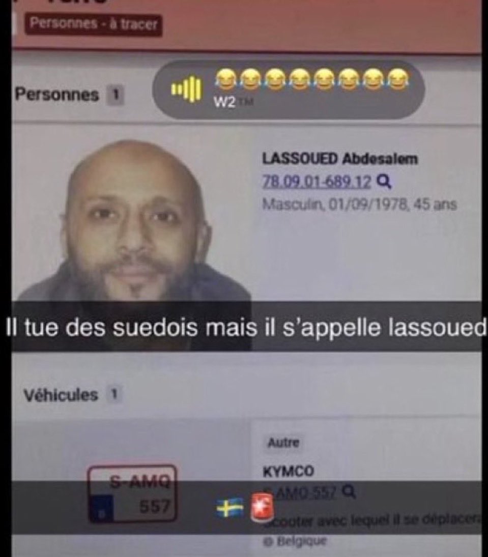 Fiche Interpol d’un homme nommé Lassoued qui a tué des Suédois, il tue des suédois mais il s'appelle Lassoued