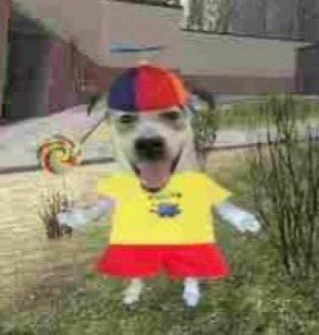 Chien avec tête humaine animé dans un environnement 3D flou gmod garrys mod, habillé en enfant avec casquette-hélico et sucette