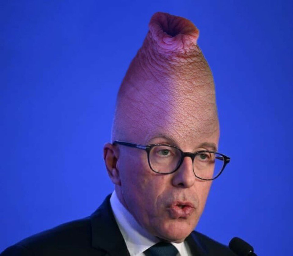 Eric ciotti tête de bite