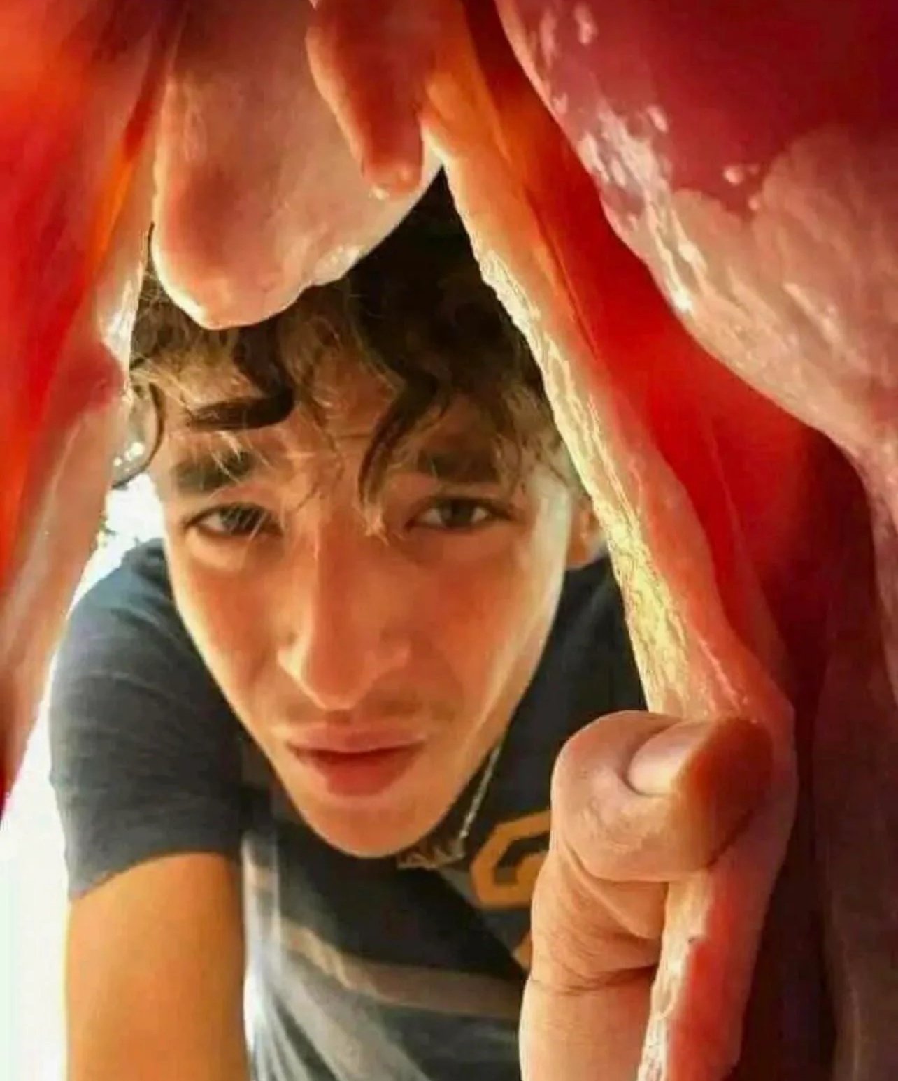 Personne qui regarde l'intérieur d'une chatte