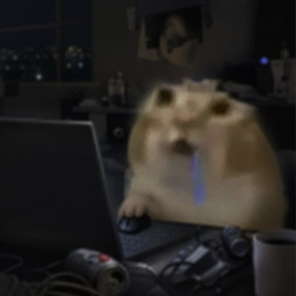 Chat débile qui bave devant son ordinateur