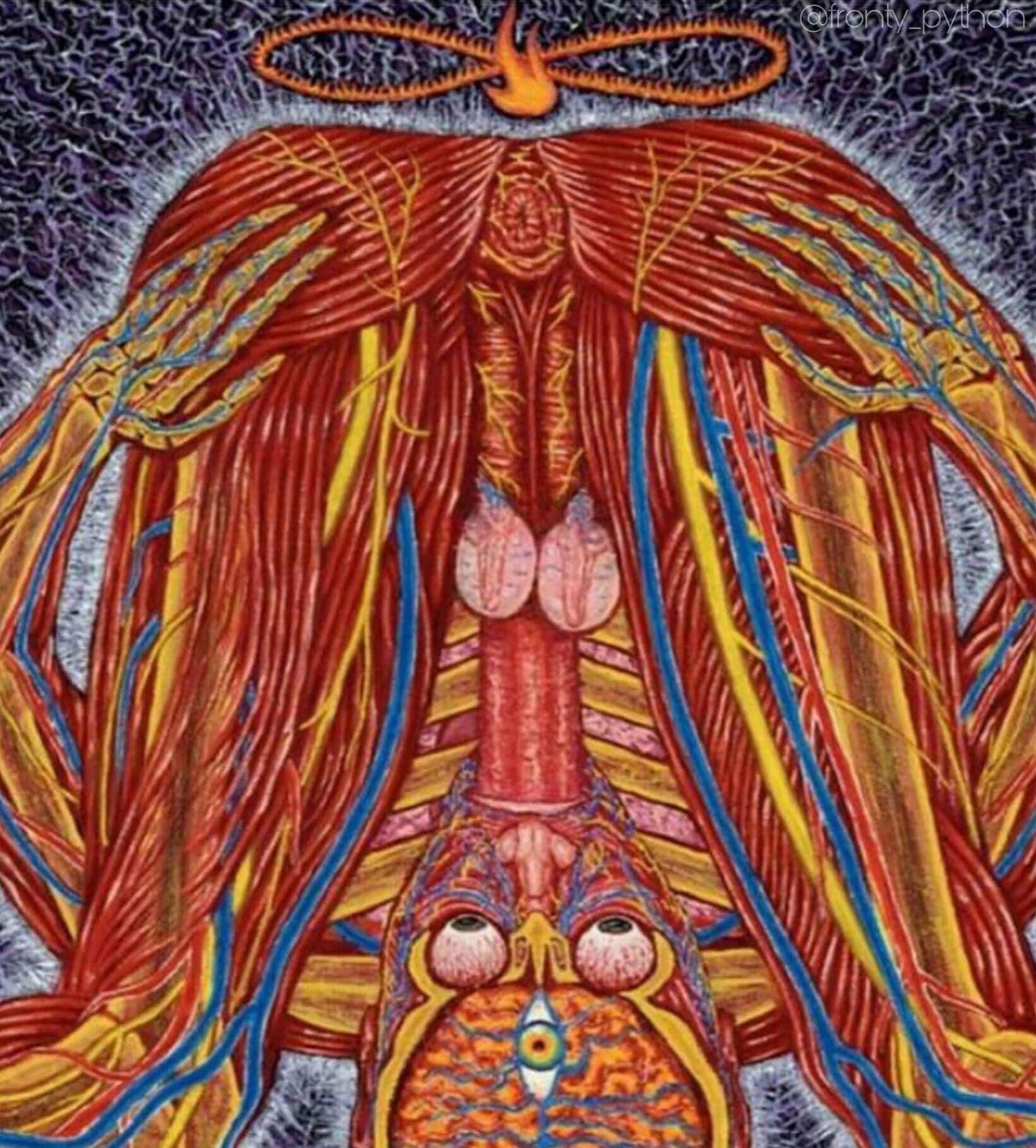 humanoïde aux organes internes visibles, qui s'auto suce le pénis.