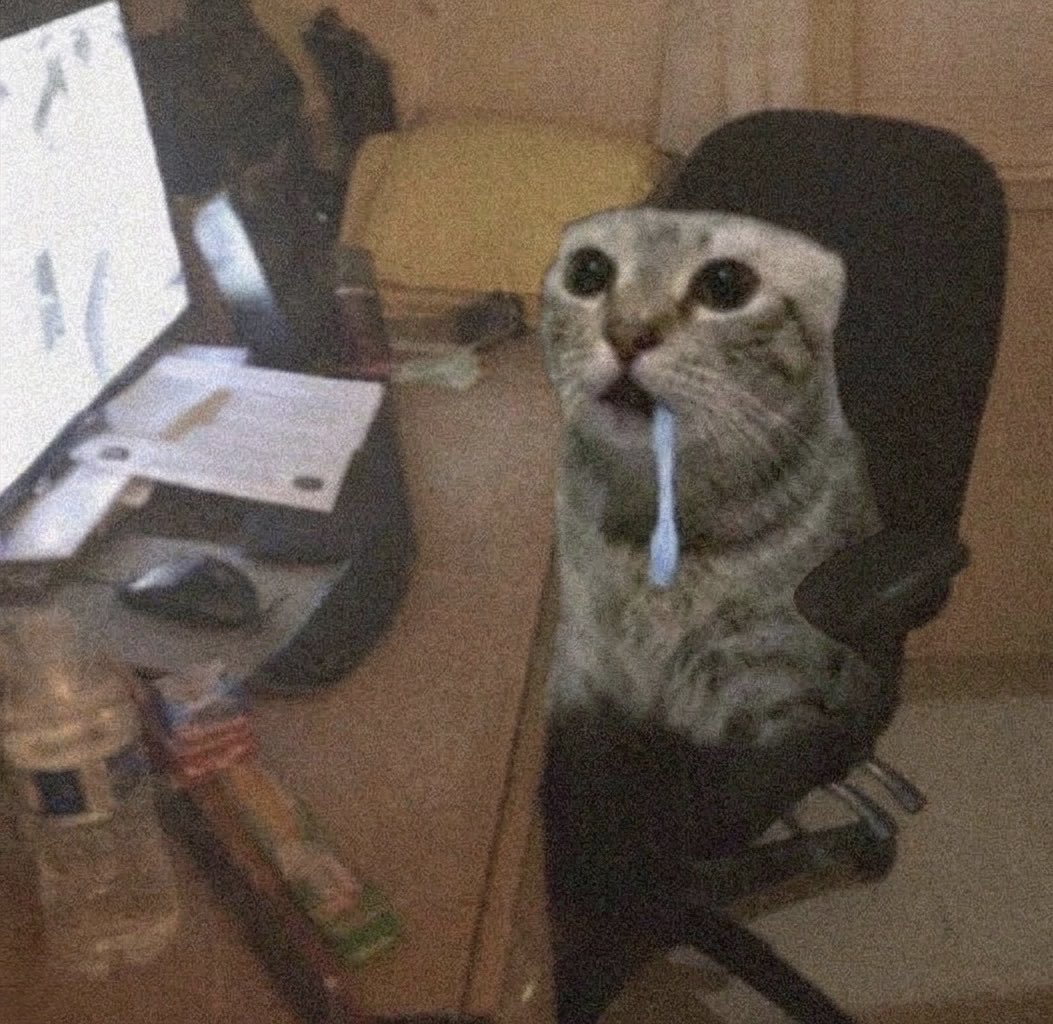 chat débile qui bave devant un bureau
