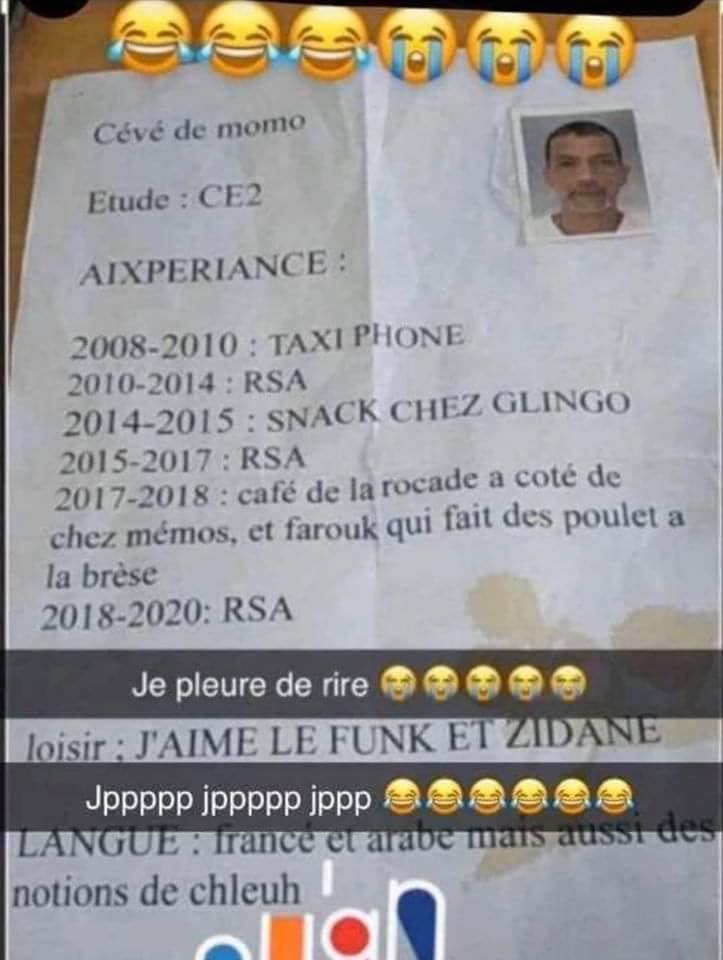 CV humoristique avec emplois insolites et Zidane