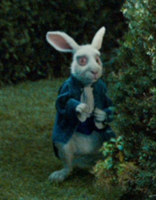 Lapin anthropomorphe terrifié