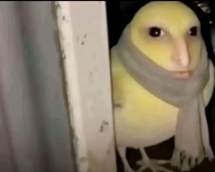 Un poussin hybride au visage humain porte une écharpe et regarde fixement
