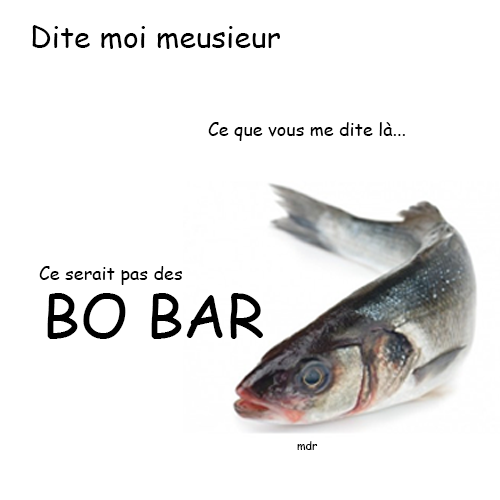 Dite moi monsieur Ce que vous me dite là... Ce serait pas des BO BAR mdr