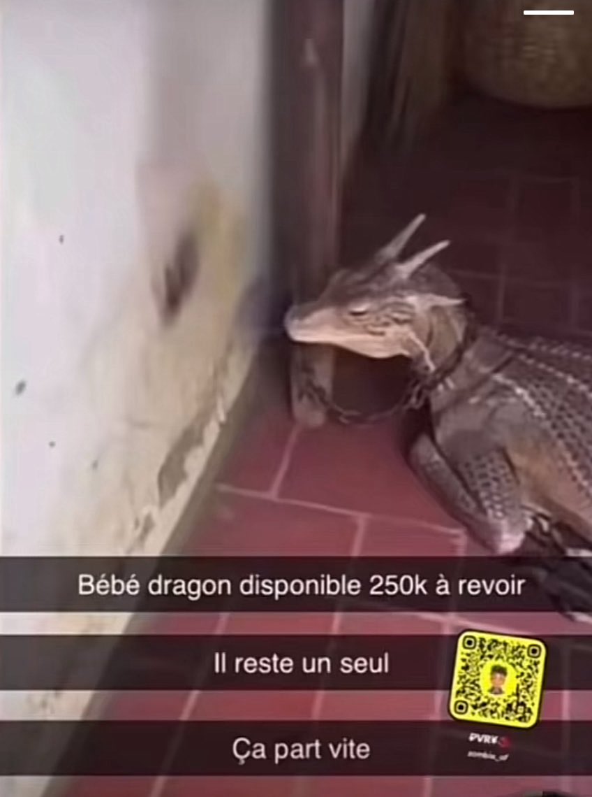 snapchat - Bébé dragon disponible 250k à revoir, il reste un seul, ça part vite