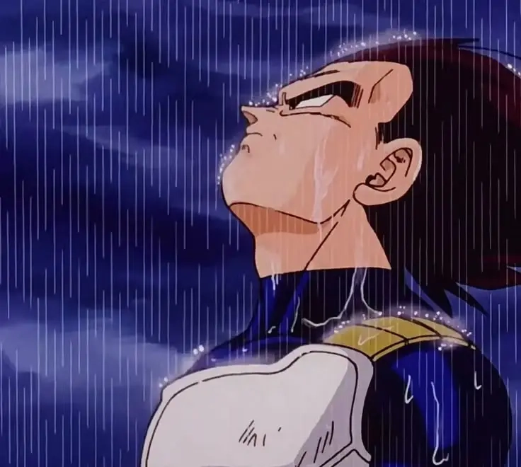 Vegeta regarde le ciel sous une pluie battante