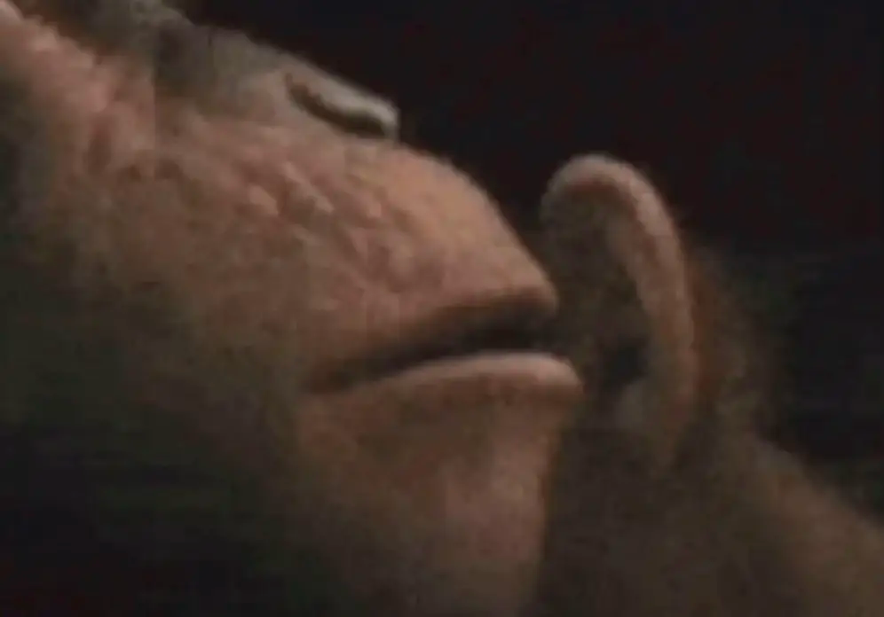 Un singe chuchote à l'oreille d'un humain