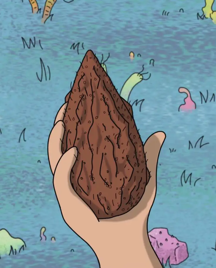 Morty tient une Méga graine mais ressemble à un étron/merde/caca