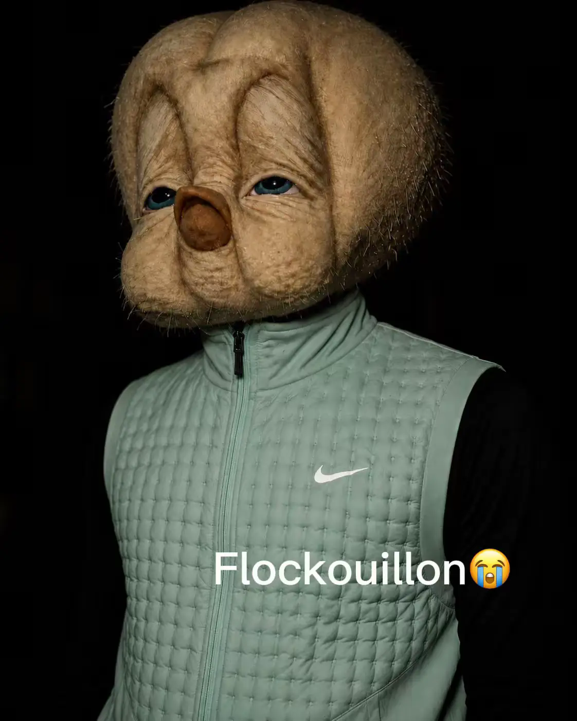 Titi porte un doudoune sans manches Nike Flockoullion