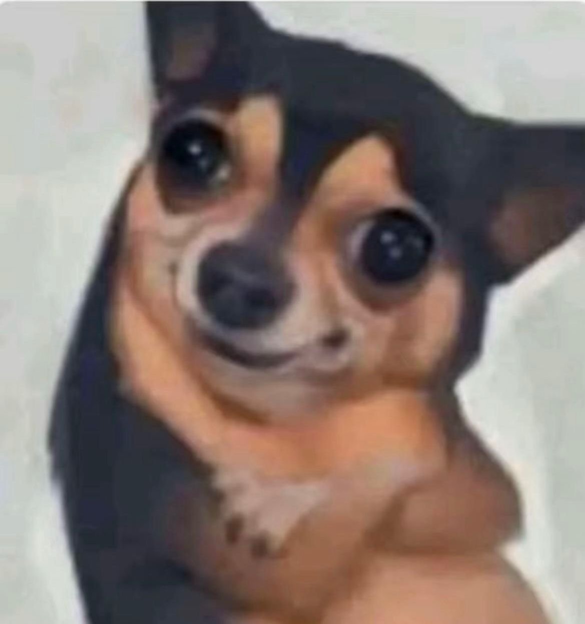 Chien qui sourit de manière étrange, choqué, forcé