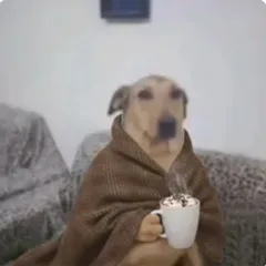 Chien assis sous une couverture tenant une tasse de chocolat chaud