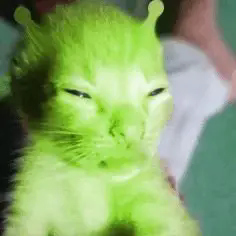 Chat alien vert avec des antennes